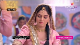 Harphoul Mohini - 1st September 2022